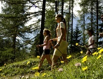 nordic walking