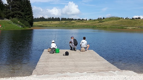 molo lago